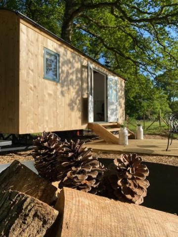 Coachroad Shepherds Huts Petworth Kültér fotó