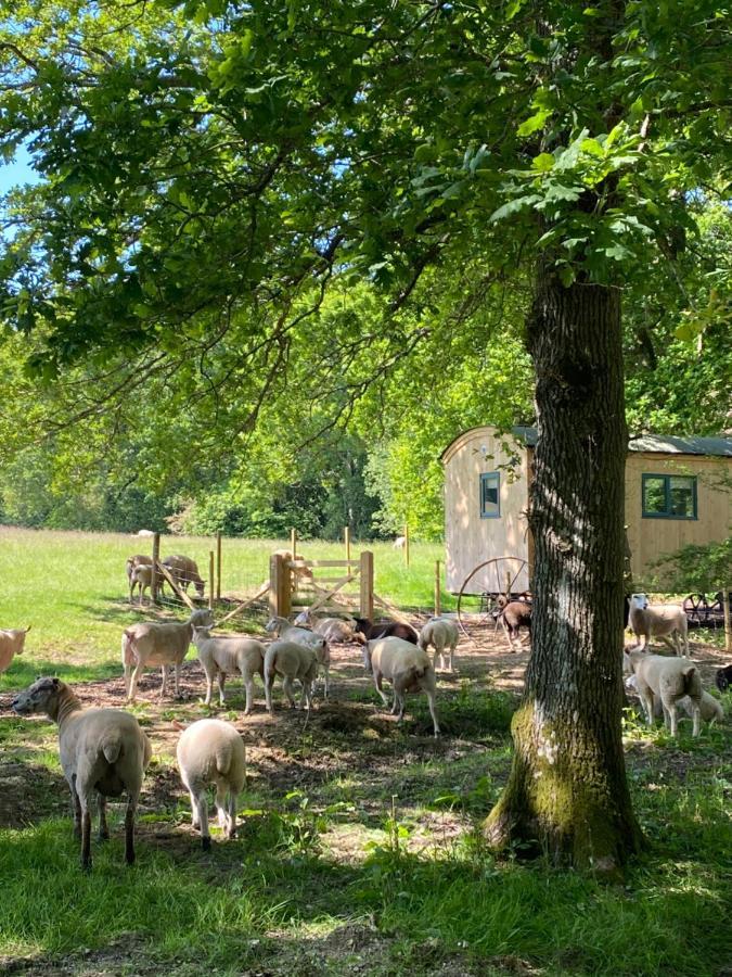 Coachroad Shepherds Huts Petworth Kültér fotó